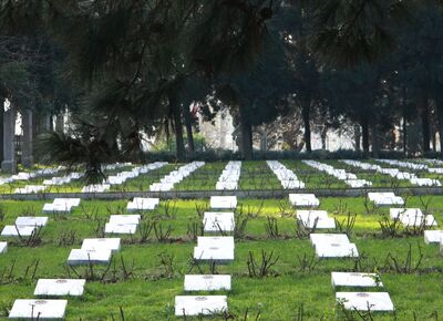 Günübirlik Çanakkale Turu