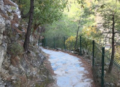 Günübirlik Kazdağları Cunda Adası Şeytan Sofrası Turu