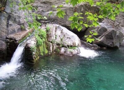 Günübirlik Kazdağları Cunda Adası Şeytan Sofrası Turu